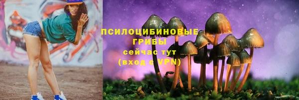трава Кулебаки