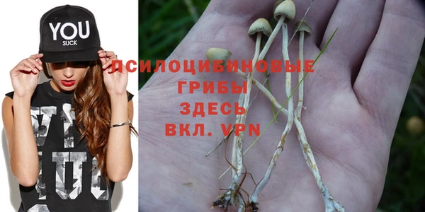 MESCALINE Куйбышев