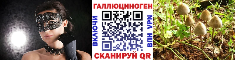 Псилоцибиновые грибы ЛСД  Шилка 